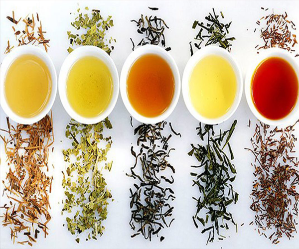 Nhiệt độ nước pha trà của mỗi loại trà sẽ khác nhau