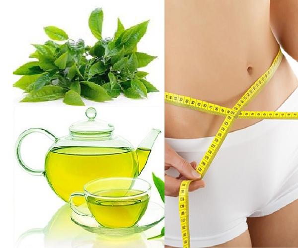 Uống trà xanh giúp cân nặng ổn định