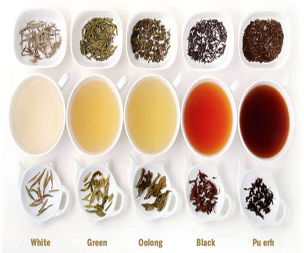 Cách phân loại trà đơn giản nhất
