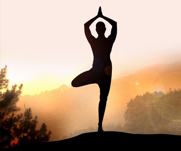 Trà đạo, Yoga và cuộc sống hiện đại